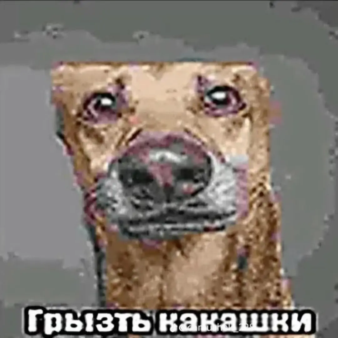 IMG-6ff38bee53fa7b08acf22ddca825d679-V IMG-6ff38bee53fa7b08acf22ddca825d679-V